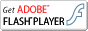 下载 Adobe Flash Player